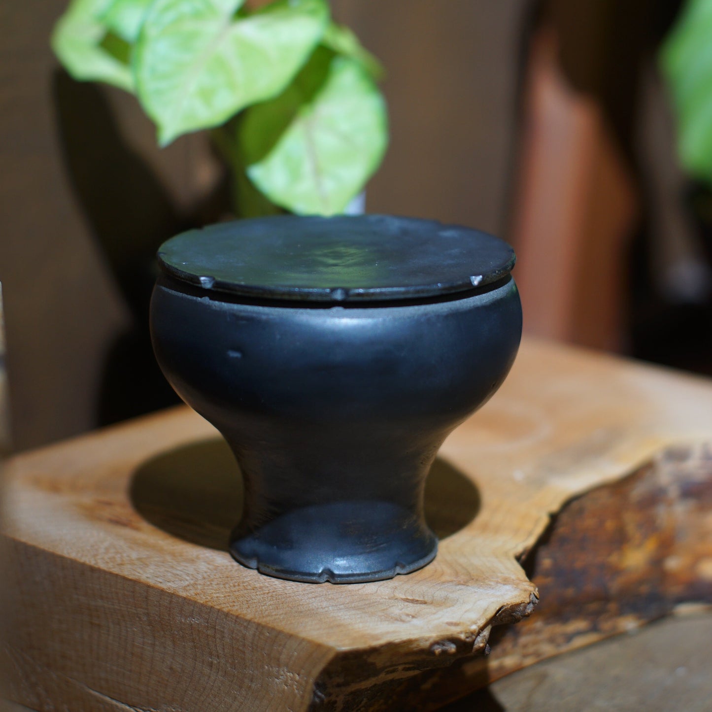One Little Planet X Forest Round Round 的 "POH Cobbler" 特別版套裝 限定品 全球限量
