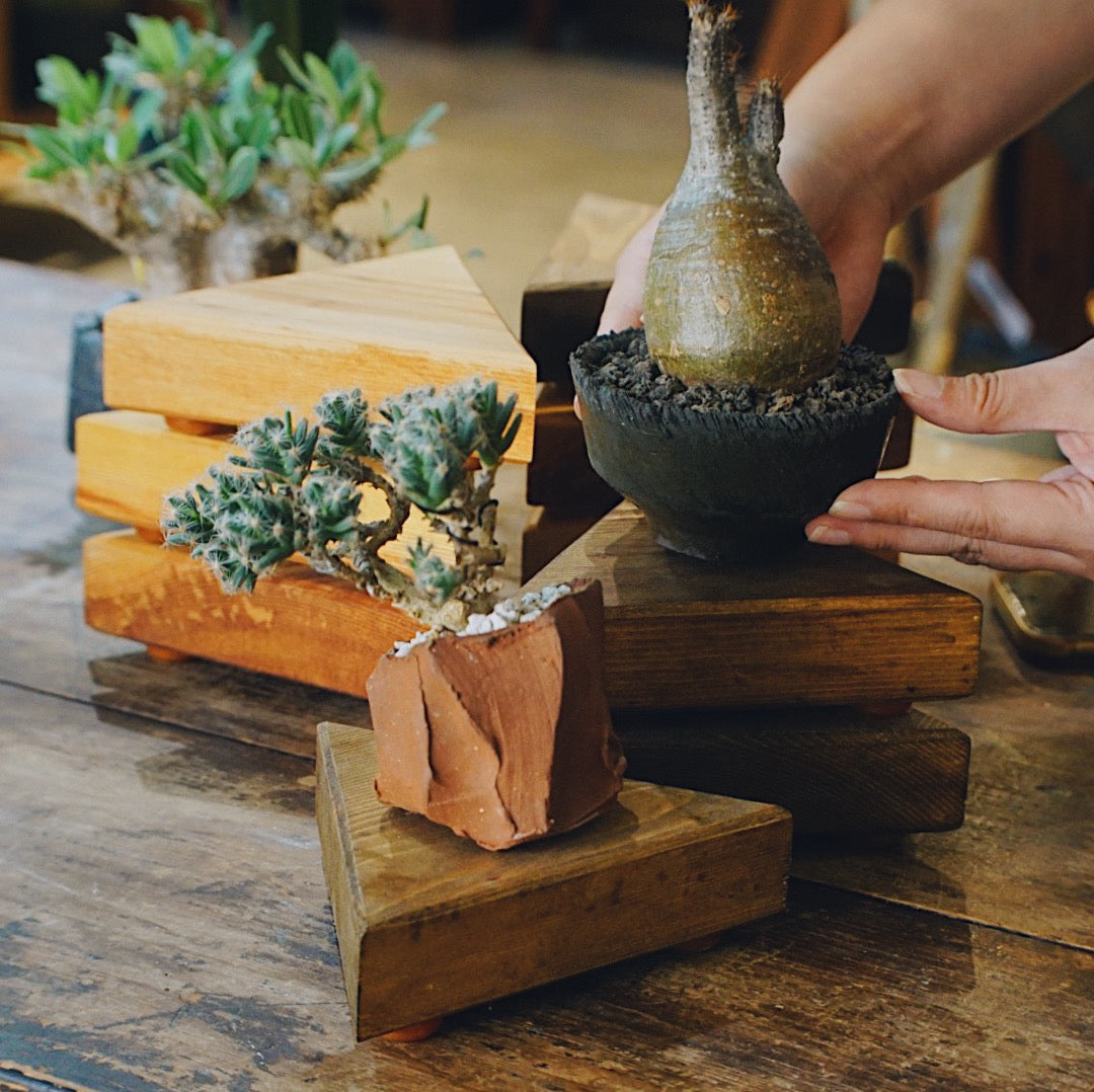 美式復古三角形墊板 Retro Triangle Wood Board