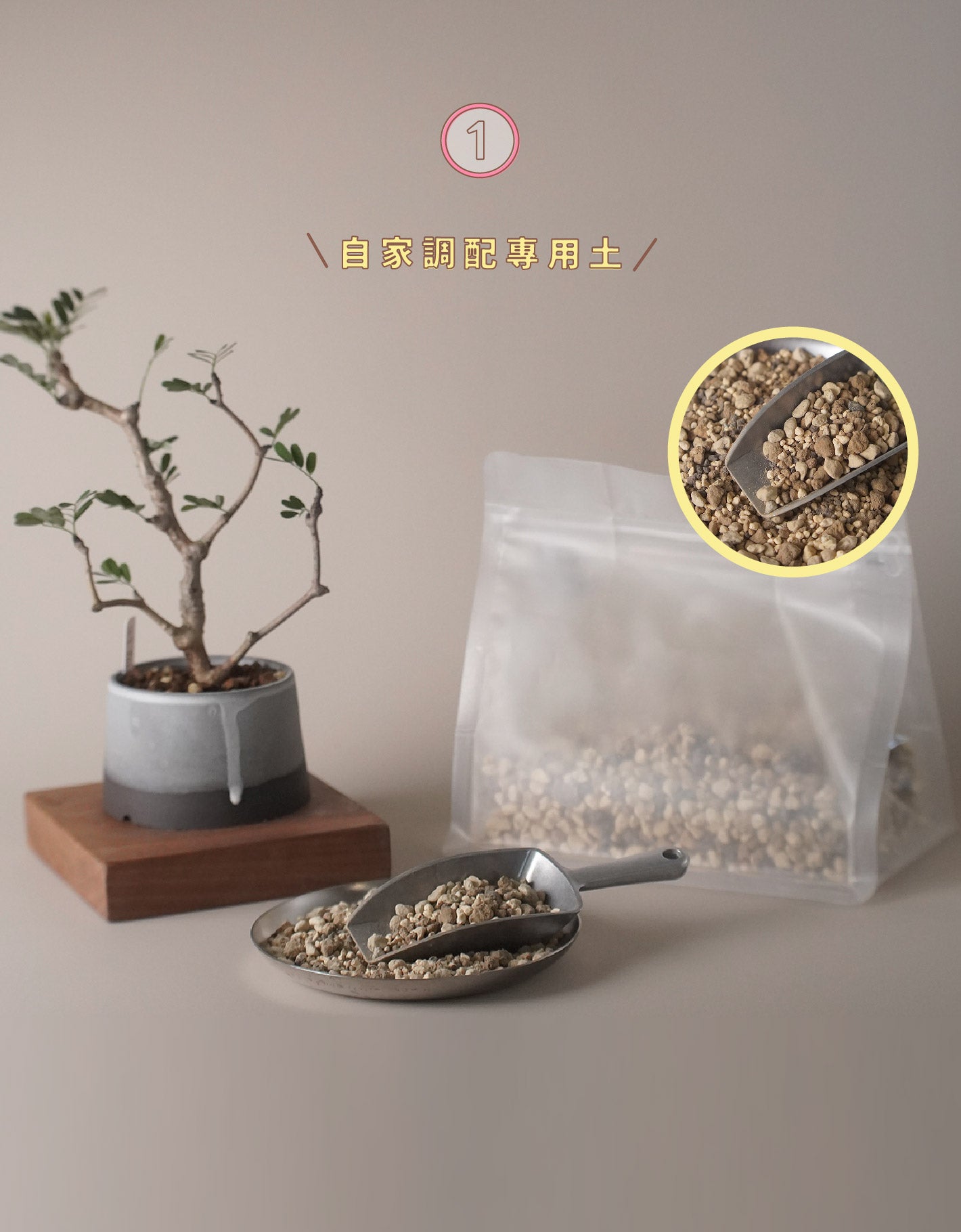 種植驅蚊 4款 Must Have Items