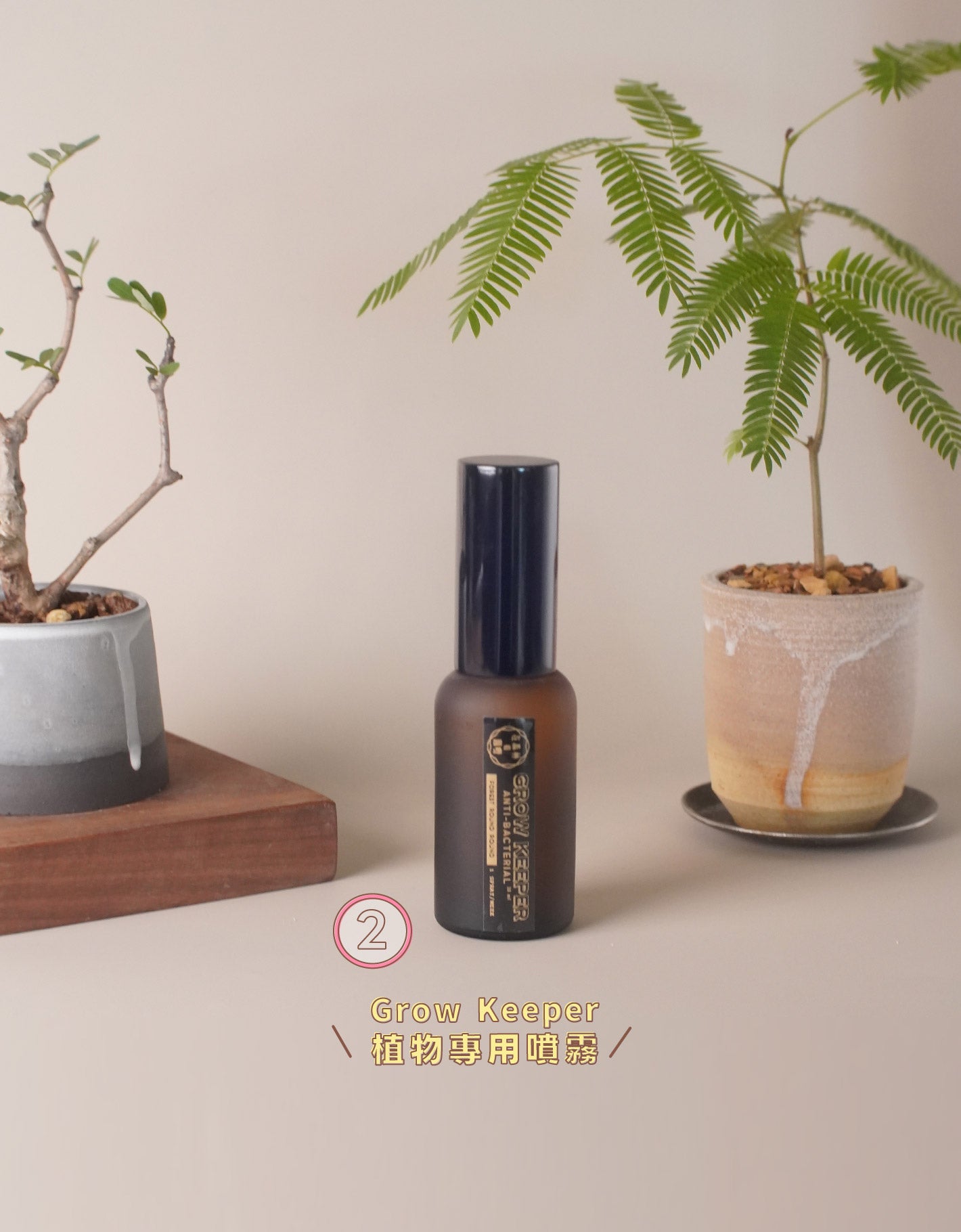 種植驅蚊 4款 Must Have Items