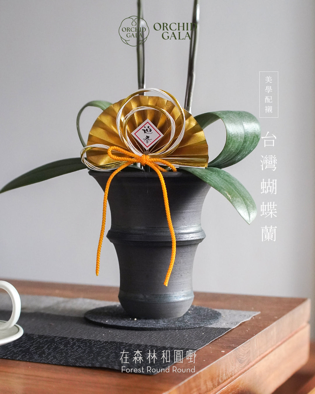 #cny2628 | 台灣蝴蝶蘭 - Tiny Double 如油畫的粉紅 x 圓嘢自家製 Every Single Spine 陶盆