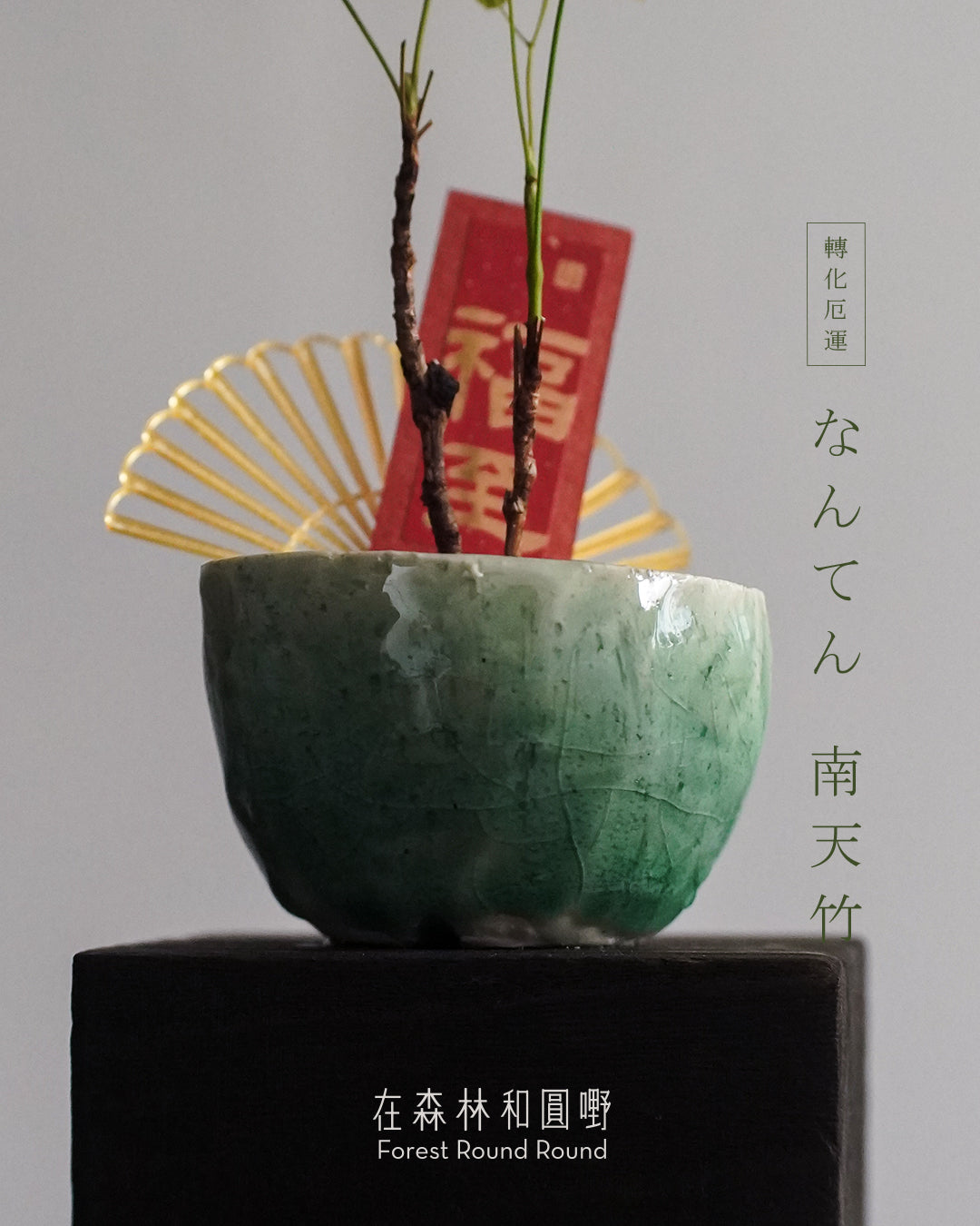 #cnyO2604 | 〔 CUP SIZE 自家繁殖 〕なんてん 消災解厄 轉化厄運的 南天竹 Sacred bamboo x 陶藝家 IVAN YUNG (副本) (副本)