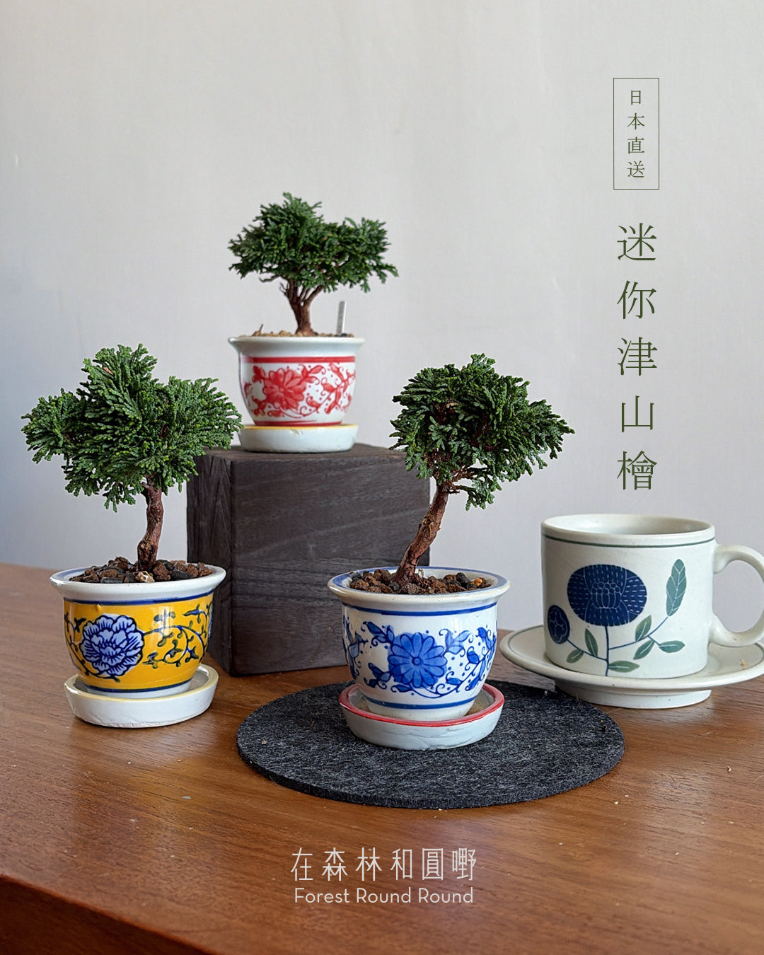日本直送 | 迷你津山檜