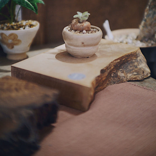 太平洋海岸楓木Live Edge木邊製墊板 Live Edge Pacific Coast Maple Wood Board-Forest Round Round