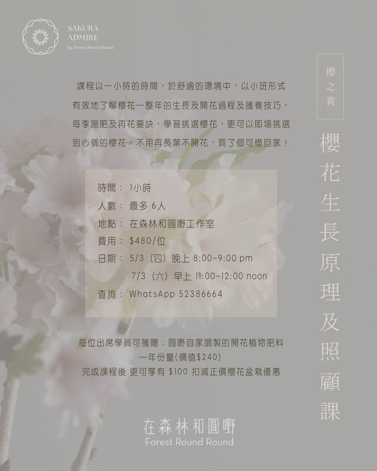 櫻花生長原理及照顧課 Basic Sakura Workshop (研習講座)