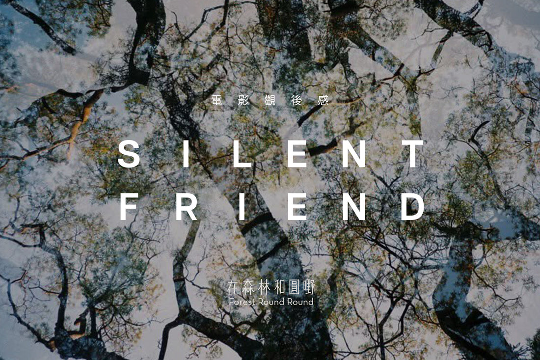 《寂靜的朋友 Silent Friend》 電影隨寫：在無聲的信號裡，尋回失落的靈魂