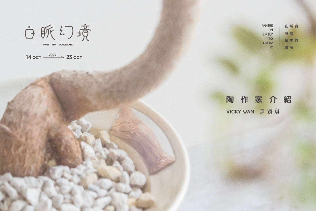 〔 植木鉢及植物展 〕白脈幻境 - 在所有可能植木的場所 | 陶作家作品介紹 Vicky Wan 尹穎琪