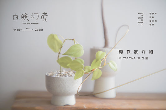 〔 植木鉢及植物展 〕白脈幻境 - 在所有可能植木的場所 | 陶作家作品介紹  Yu Tsz Ying 余芷瑩