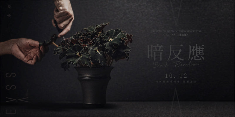 ALL-【 暗反應 Dark Reaction】 [FOREST ROUND ROUND x EVERY SINGLE SPINE一本刺 ］CHRISTMAS ORIGINAL SERIES 黑色的限量植物連植木鉢-Forest Round Round