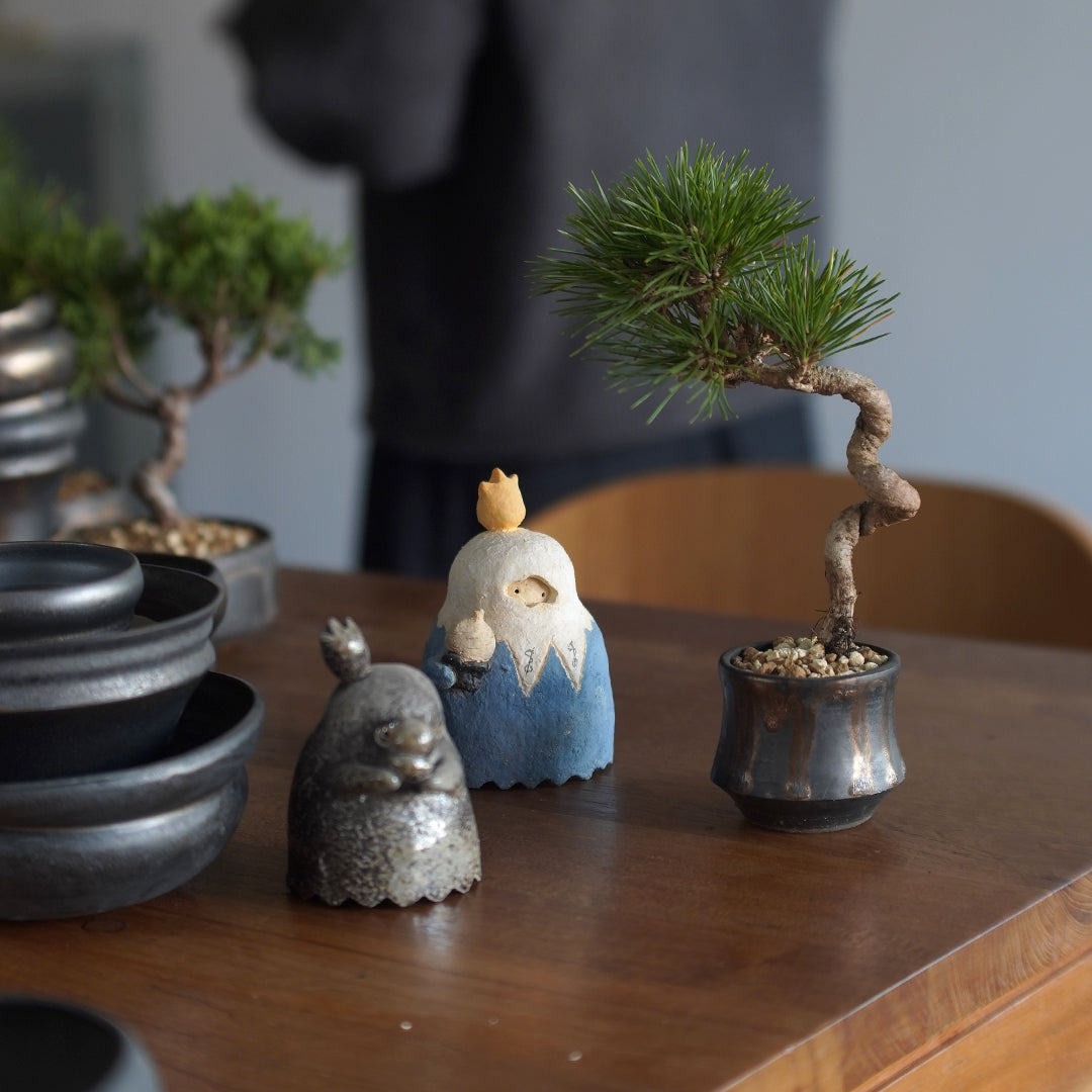 賀正盆景 黑松套裝