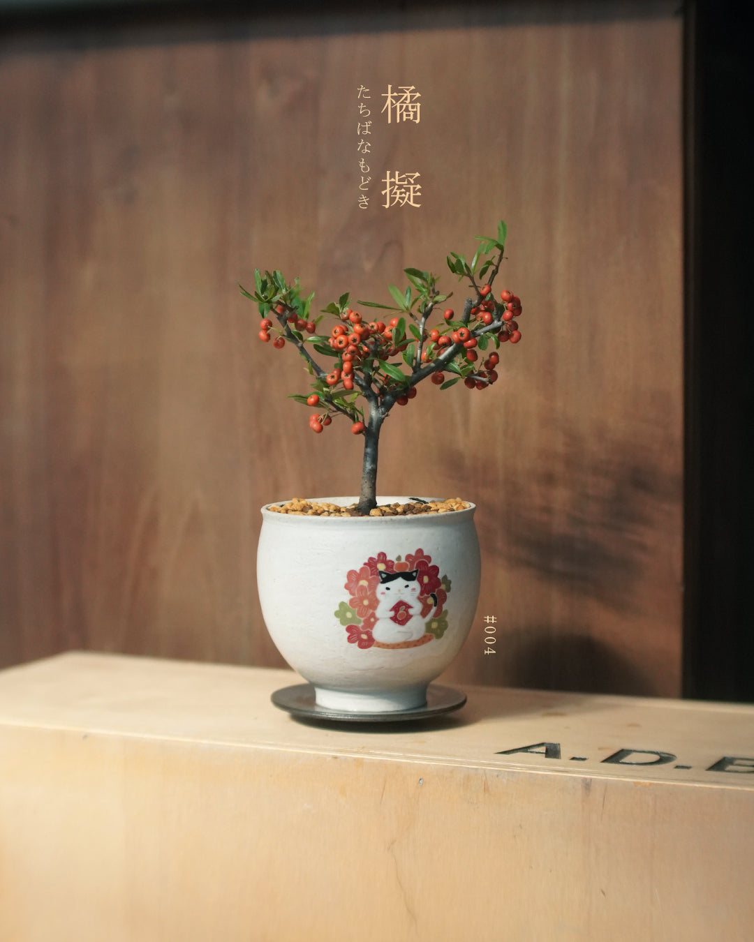 碩果纍纍的 橘擬 - 004 | 橘擬 たちばなもどき , CUBBIE SO