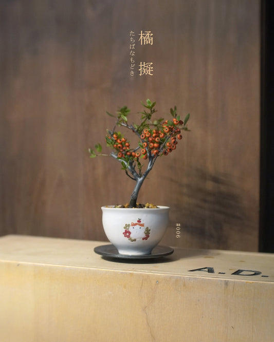 碩果纍纍的 橘擬 - 006 | 橘擬 たちばなもどき , CUBBIE SO