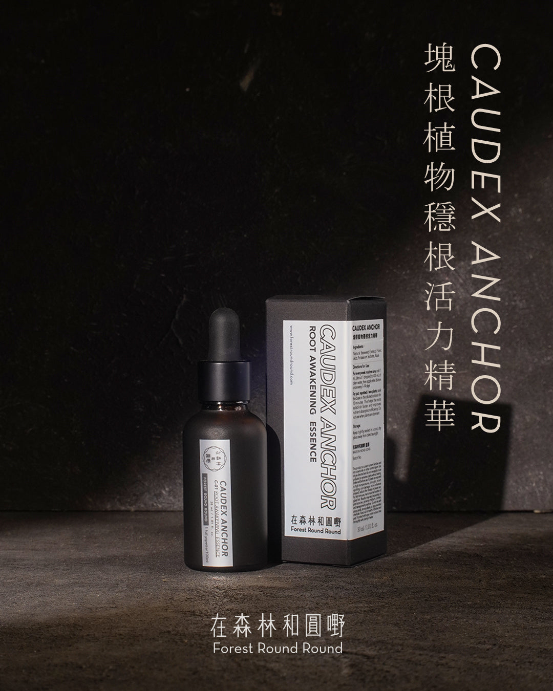 在森林和圓嘢 監修  |  Caudex Anchor塊根植物穩根活力精華｜ C-01 B