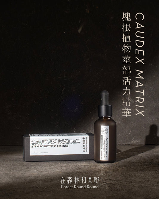 在森林和圓嘢 監修  |  Caudex Matrix塊根植物莖部活力精華  C-02 B