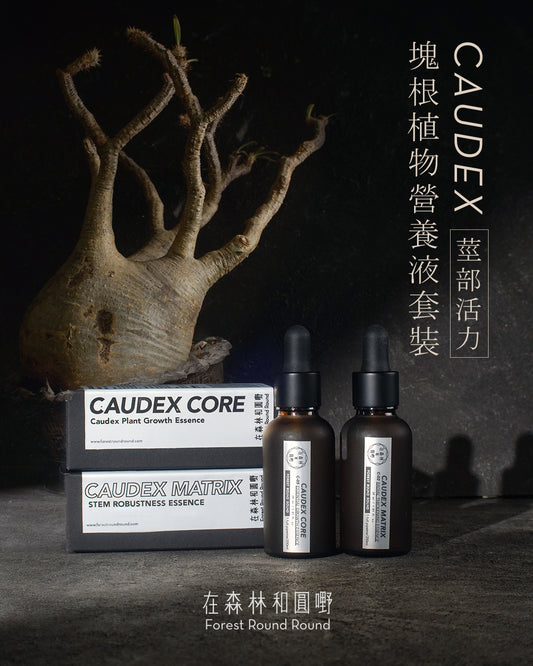 在森林和圓嘢 監修  |  塊根植物營養液 ： Caudex 莖部活力專用 ( A＋B液套裝)