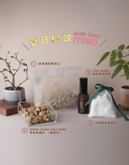 種植驅蚊 4款 Must Have Items