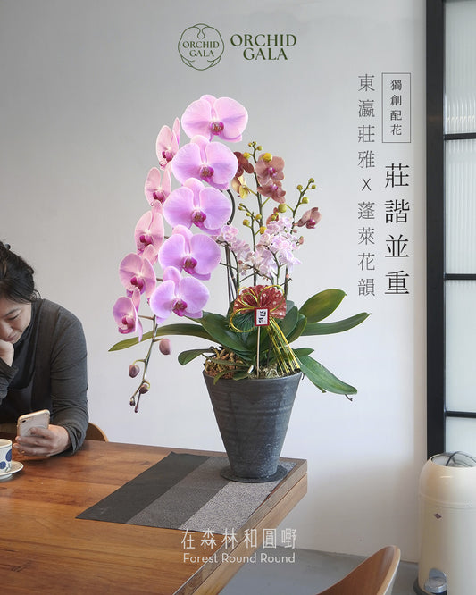 #cny2616  |  日本 + 台灣蝴蝶蘭  -  圓嘢原創 賀年藝術蘭花 〔亦可訂製〕
