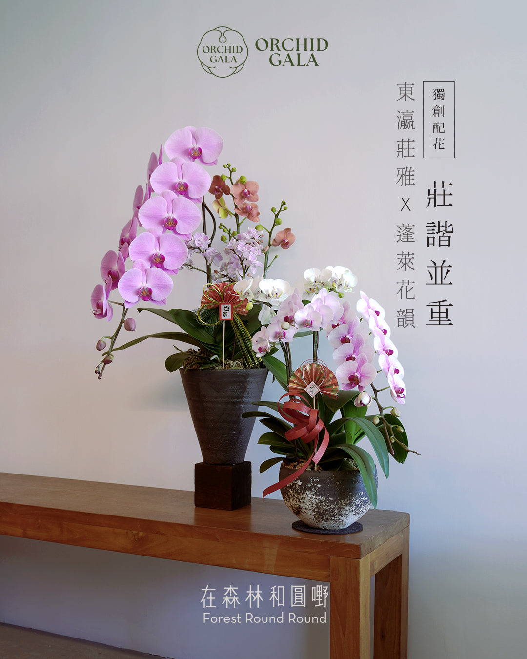 #cny2616  |  日本 + 台灣蝴蝶蘭  -  圓嘢原創 賀年藝術蘭花 〔亦可訂製〕