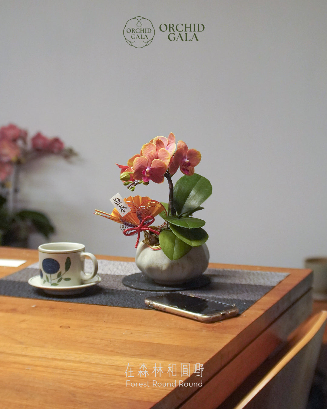#cny2656  |  台灣蝴蝶蘭  -   〔 CUP SIZE 〕迷你粉橙 x 陶藝家 VINCENT LAW 羅縉壕