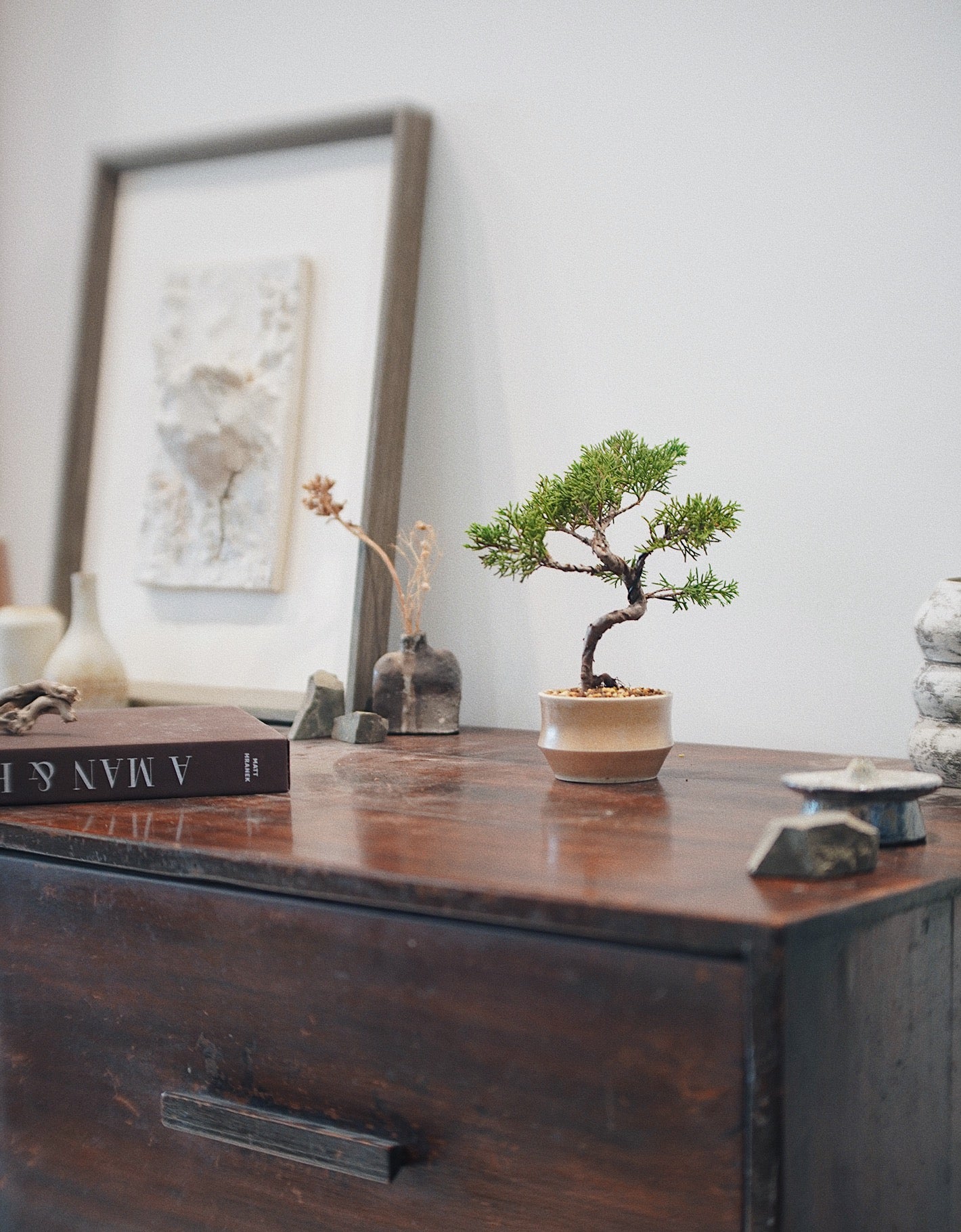 【香港 植物酒店】植物寄養託管服務 - 旅行代養｜ Plant Hotel Reservation

公幹、旅行放長假擔心植物冇人照顧？圓嘢提供專業香港 【植物酒店】 植物寄養託管服務！針對盆景、多肉、塊根、觀葉植物提供獨立光照通風環境、客製化澆水等旅行代養服務。讓寶貝植物安心渡假，立即線上預約【植物酒店服務】！