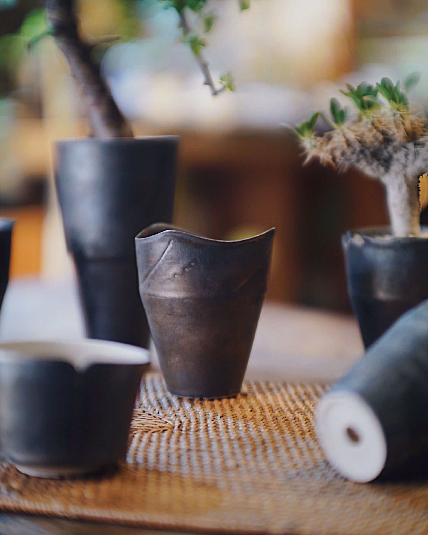 [ IVAN YUNG 翁振傑 ] 仿鐵系列 （上了植物）