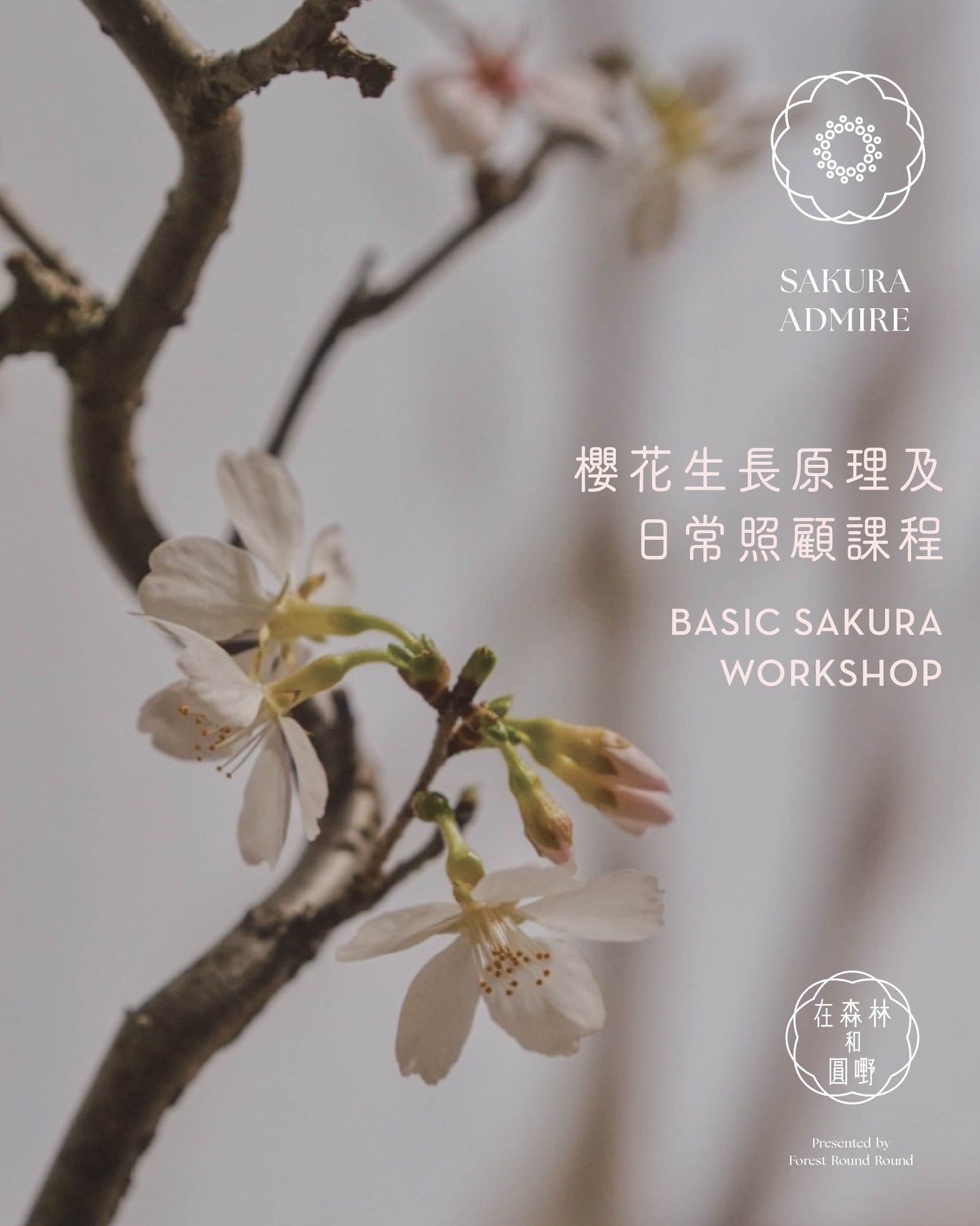 櫻花生長原理及照顧課 Basic Sakura Workshop （研習講座）