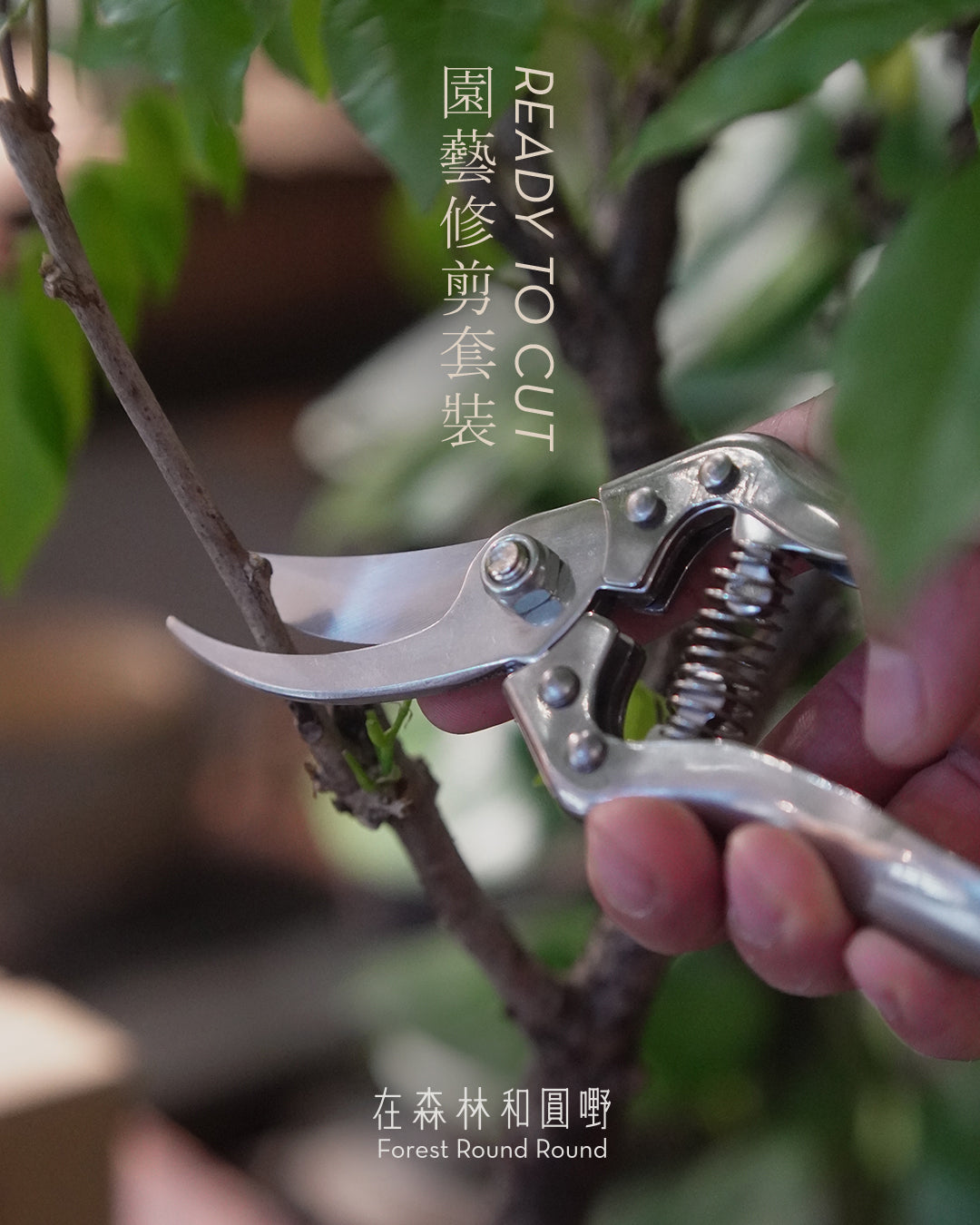 圓嘢特選 ｜Ready to cut  園藝修剪套裝 （套裝包含 2 把不鏽鋼剪刀）