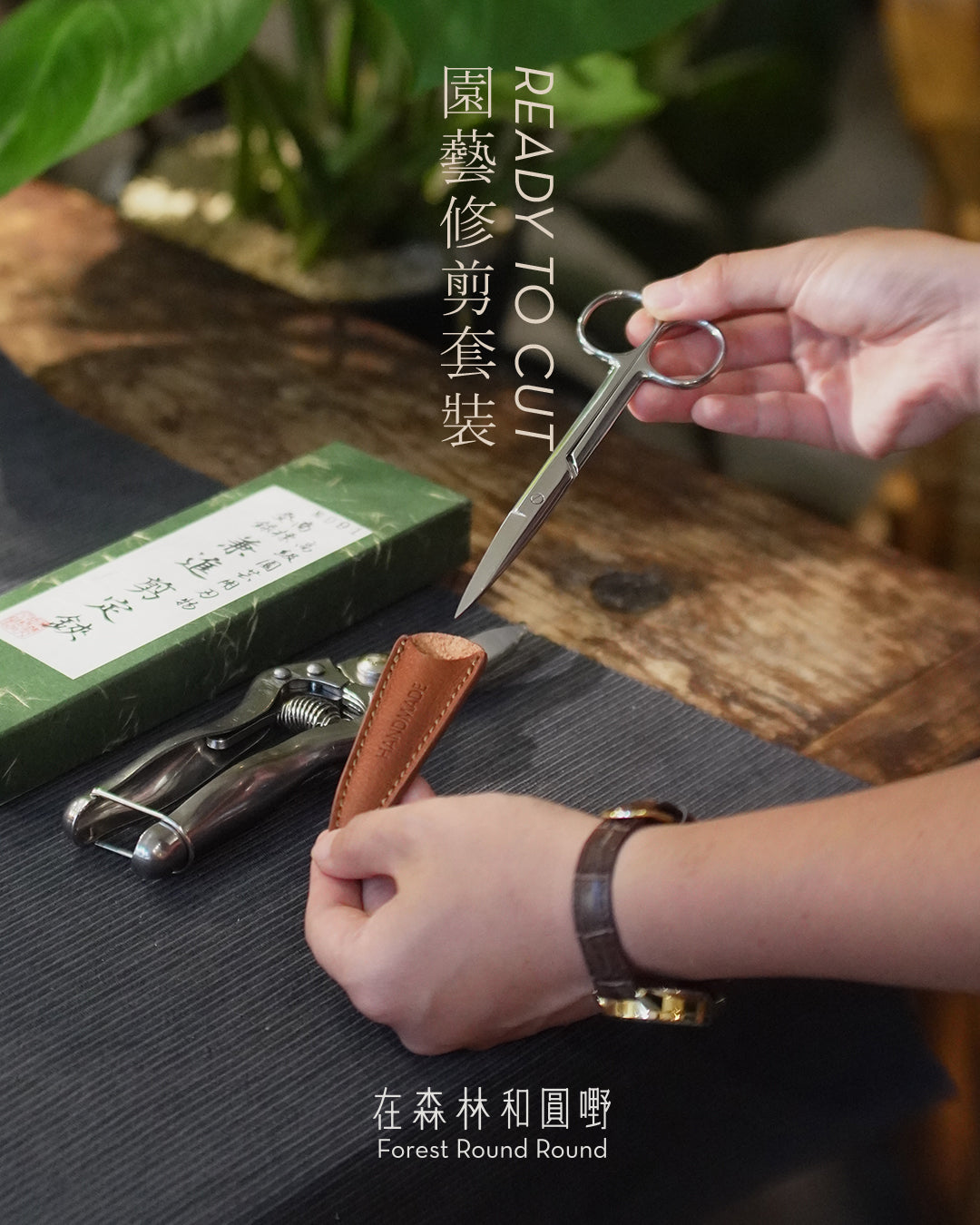 圓嘢特選 ｜Ready to cut  園藝修剪套裝 （套裝包含 2 把不鏽鋼剪刀）