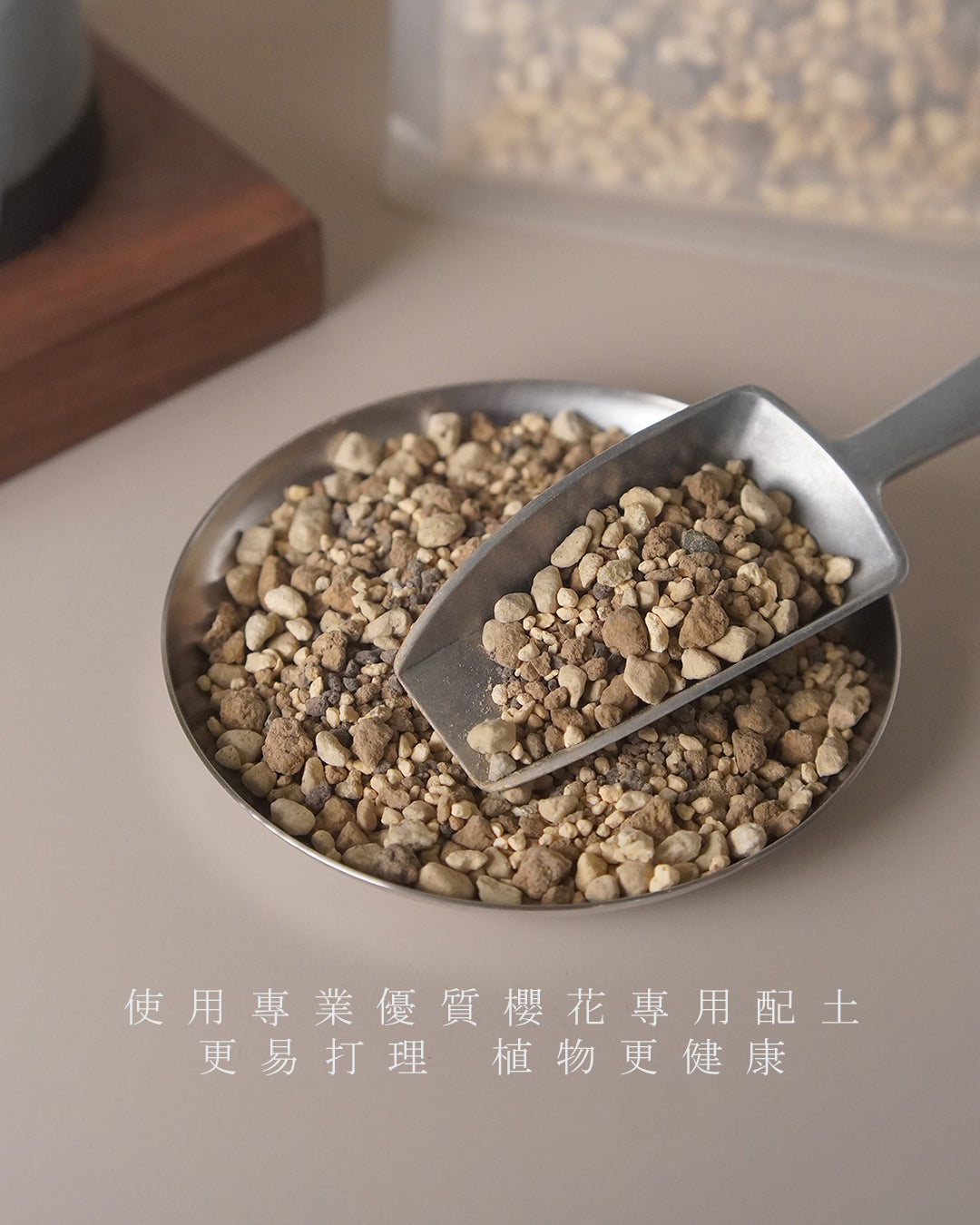 [ 日本直送 ｜限量預訂中 ] 〖 M size 〗 The Sakura Admire | 御殿場桜 御殿場櫻  ,  VINCENT LAW 羅縉壕