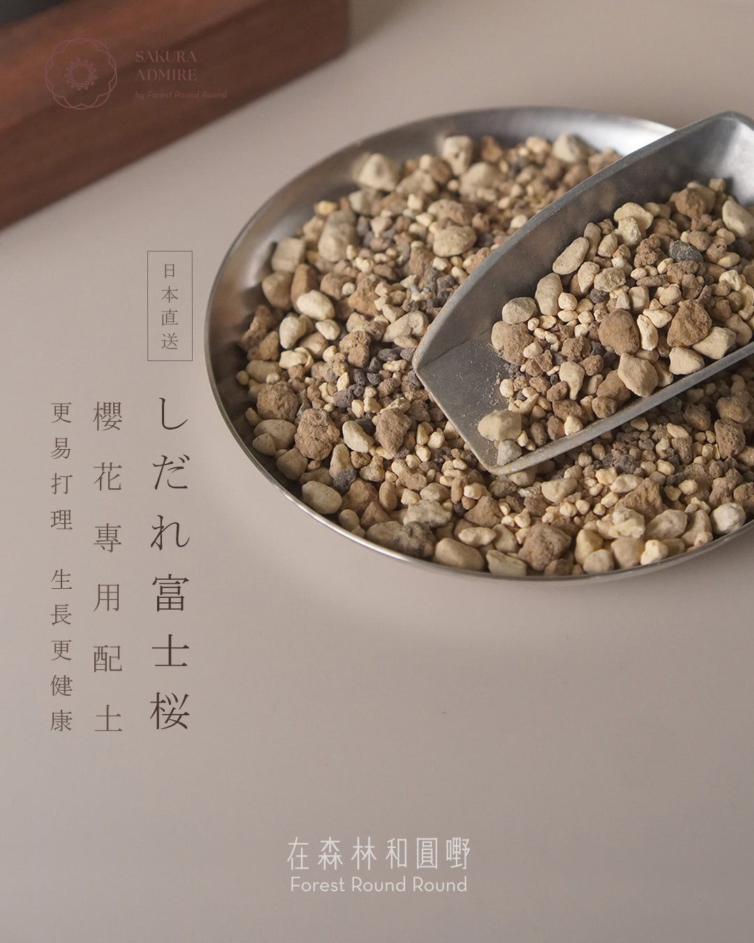 shirane-sakura-bonsai-L-size