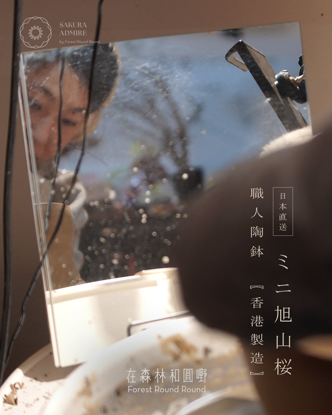 〖 S size 〗 ミニ旭山桜  迷你 旭山櫻  ,  Yann Cheng  [ 2026 日本直送 ｜限量預訂中 ]