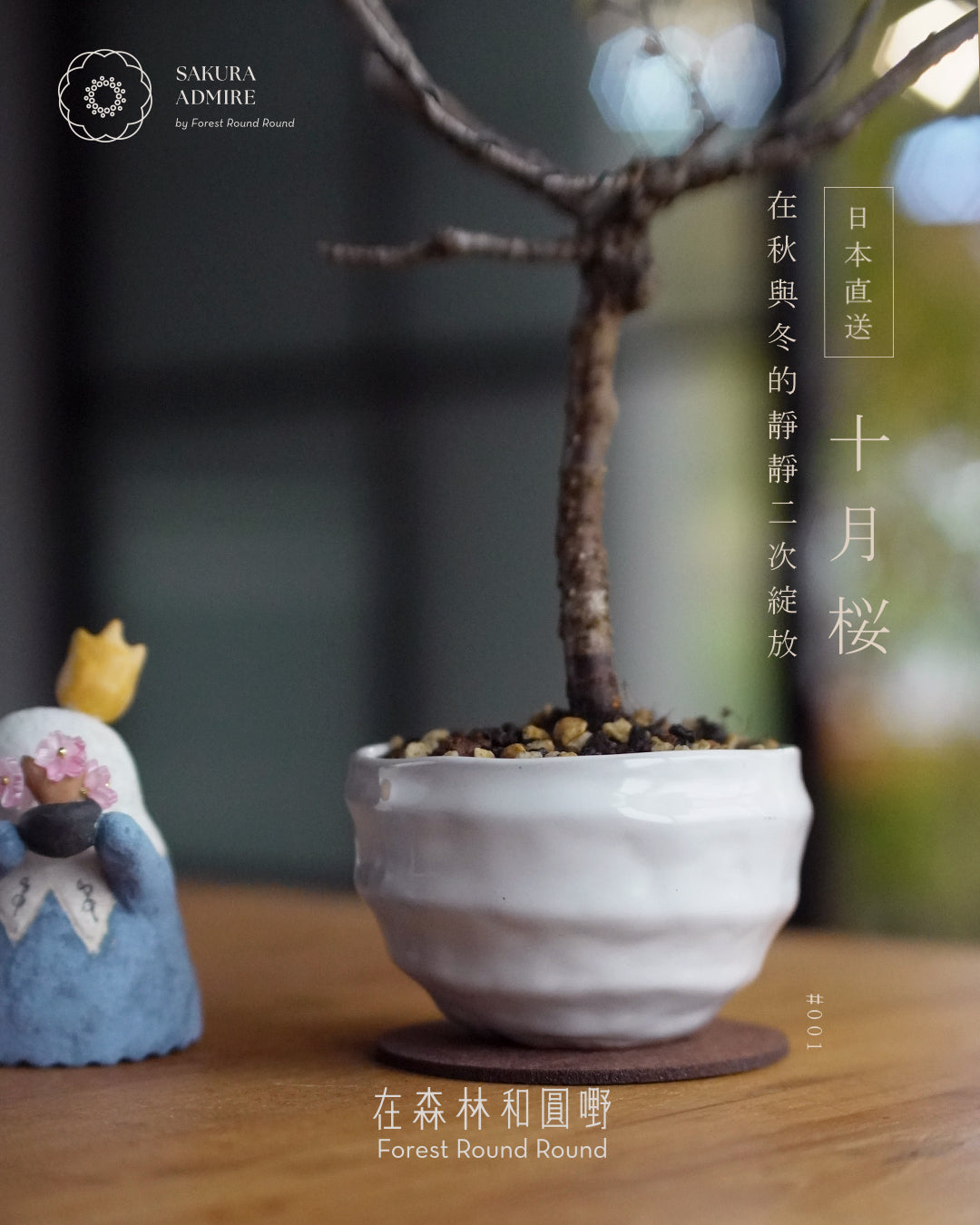 〖 實物拍攝 〗 在秋與冬的二次靜靜綻放 - 001  ｜ 十月桜  造型十月櫻  [ 2026 日本直送  ]