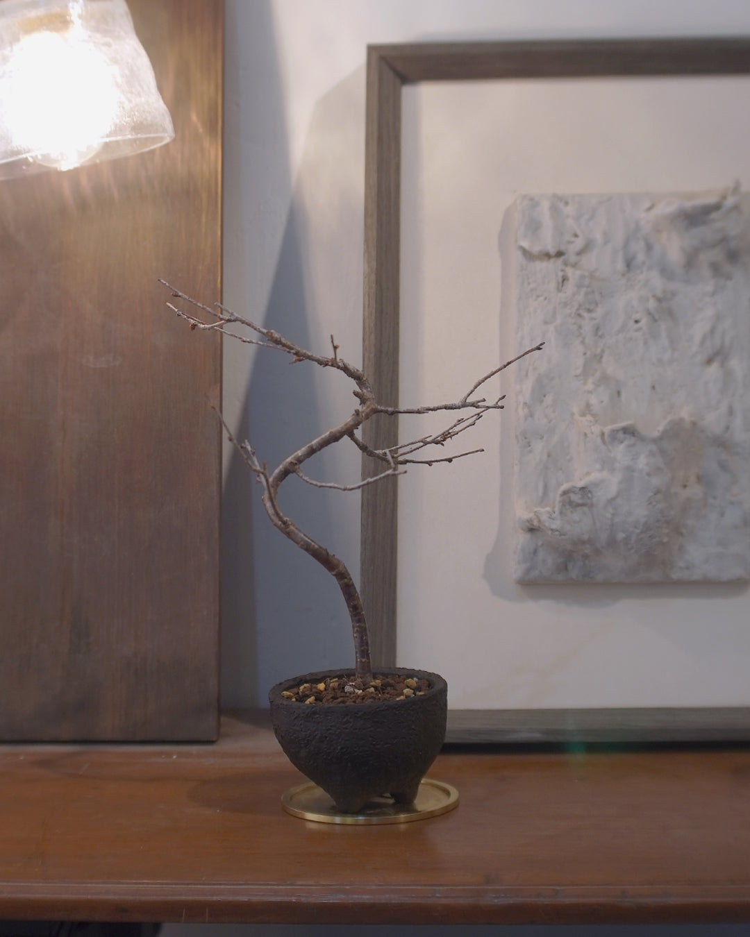 [ 日本直送 ｜Studio Ready ]  The Sakura Admire | Shinano Kanzakura 信濃寒櫻 - 02